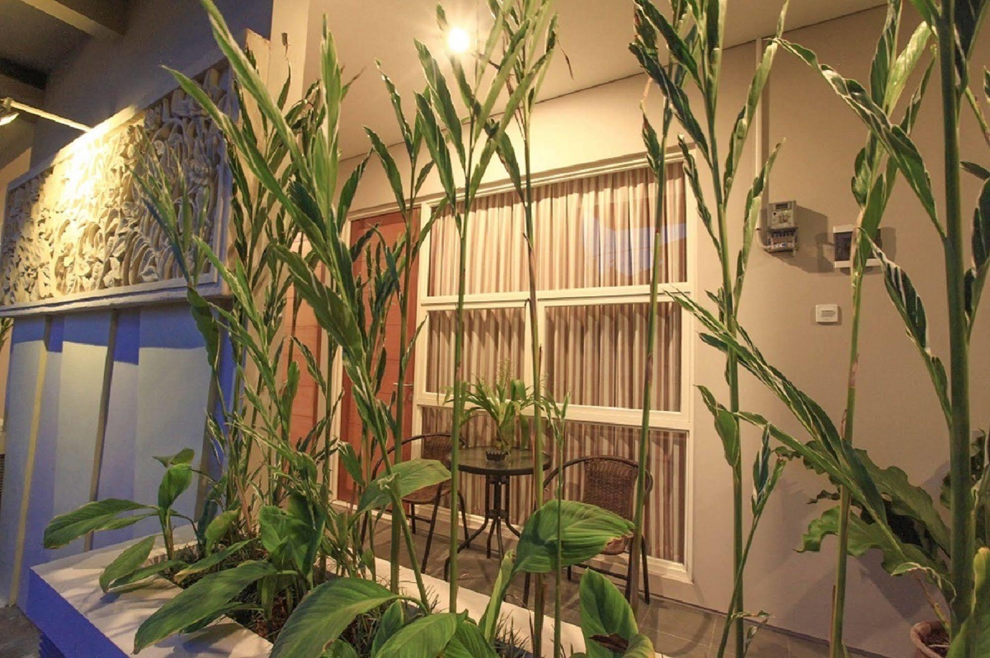 巴厘岛真生活公寓 丹帕沙 外观 照片